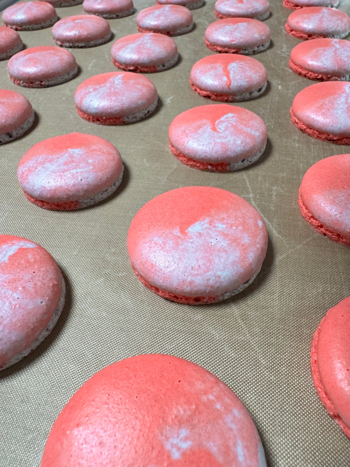 BUCKEYE GAME DAY MACS - Chocolate Peanut Butter (GF*)